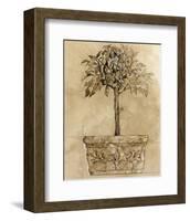 Victorian Topiary-Pyper Morgan-Framed Art Print