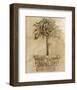 Victorian Topiary-Pyper Morgan-Framed Art Print