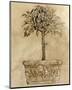 Victorian Topiary-Pyper Morgan-Mounted Art Print