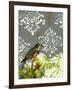 Victorian Whimsy I-Jennifer Goldberger-Framed Art Print