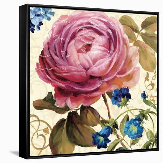 Victorias Dream II-Lisa Audit-Framed Stretched Canvas