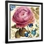 Victorias Dream II-Lisa Audit-Framed Art Print