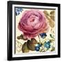 Victorias Dream II-Lisa Audit-Framed Art Print