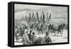 Victorious Agordat Troops Returning to Keren, 1894-null-Framed Stretched Canvas