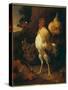 Victorious Cockerel-Melchior de Hondecoeter-Stretched Canvas