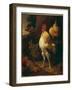 Victorious Cockerel-Melchior de Hondecoeter-Framed Giclee Print