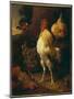 Victorious Cockerel-Melchior de Hondecoeter-Mounted Giclee Print