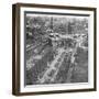 Victory Parade Passing Through the Admiralty Arch and Down the Mall, 19th July, 1919-null-Framed Giclee Print