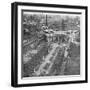 Victory Parade Passing Through the Admiralty Arch and Down the Mall, 19th July, 1919-null-Framed Giclee Print