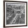 Victory Parade Passing Through the Admiralty Arch and Down the Mall, 19th July, 1919-null-Framed Giclee Print