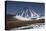 Vicuna, Small Camelid Animal, at Miniques Volcano and Lagoon in San Pedro De Atacama Desert-Kimberly Walker-Stretched Canvas