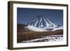 Vicuna, Small Camelid Animal, at Miniques Volcano and Lagoon in San Pedro De Atacama Desert-Kimberly Walker-Framed Photographic Print