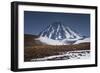 Vicuna, Small Camelid Animal, at Miniques Volcano and Lagoon in San Pedro De Atacama Desert-Kimberly Walker-Framed Photographic Print