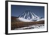 Vicuna, Small Camelid Animal, at Miniques Volcano and Lagoon in San Pedro De Atacama Desert-Kimberly Walker-Framed Photographic Print