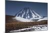 Vicuna, Small Camelid Animal, at Miniques Volcano and Lagoon in San Pedro De Atacama Desert-Kimberly Walker-Mounted Photographic Print