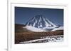 Vicuna, Small Camelid Animal, at Miniques Volcano and Lagoon in San Pedro De Atacama Desert-Kimberly Walker-Framed Photographic Print