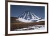 Vicuna, Small Camelid Animal, at Miniques Volcano and Lagoon in San Pedro De Atacama Desert-Kimberly Walker-Framed Photographic Print