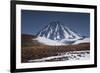 Vicuna, Small Camelid Animal, at Miniques Volcano and Lagoon in San Pedro De Atacama Desert-Kimberly Walker-Framed Photographic Print