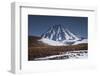 Vicuna, Small Camelid Animal, at Miniques Volcano and Lagoon in San Pedro De Atacama Desert-Kimberly Walker-Framed Photographic Print