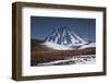 Vicuna, Small Camelid Animal, at Miniques Volcano and Lagoon in San Pedro De Atacama Desert-Kimberly Walker-Framed Premium Photographic Print