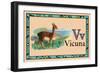 Vicuna-null-Framed Art Print