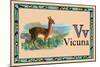 Vicuna-null-Mounted Art Print
