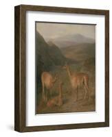 Vicunas, 1831-Jacques-Laurent Agasse-Framed Giclee Print