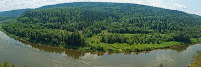 Panoramic View of Siberian Taiga Landscape at Summer-viczast-Photographic Print