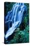 Vidae Falls Waterfall in Crater Lake National Park, Oregon, USA-Roland Gerth-Stretched Canvas