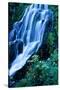 Vidae Falls Waterfall in Crater Lake National Park, Oregon, USA-Roland Gerth-Stretched Canvas