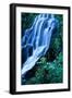 Vidae Falls Waterfall in Crater Lake National Park, Oregon, USA-Roland Gerth-Framed Photographic Print