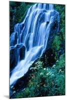 Vidae Falls Waterfall in Crater Lake National Park, Oregon, USA-Roland Gerth-Mounted Photographic Print