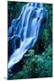 Vidae Falls Waterfall in Crater Lake National Park, Oregon, USA-Roland Gerth-Mounted Photographic Print