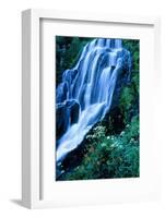 Vidae Falls Waterfall in Crater Lake National Park, Oregon, USA-Roland Gerth-Framed Photographic Print