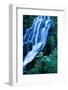 Vidae Falls Waterfall in Crater Lake National Park, Oregon, USA-Roland Gerth-Framed Photographic Print