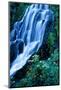 Vidae Falls Waterfall in Crater Lake National Park, Oregon, USA-Roland Gerth-Mounted Photographic Print