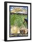 Vidalia, Georgia - Onion Field-Lantern Press-Framed Art Print