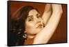 Videodrome (photo)-null-Framed Stretched Canvas