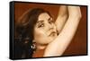 Videodrome (photo)-null-Framed Stretched Canvas