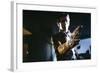 Videodrome (photo)-null-Framed Photo