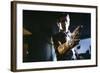 Videodrome (photo)-null-Framed Photo