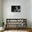 Videodrome (photo)-null-Stretched Canvas displayed on a wall