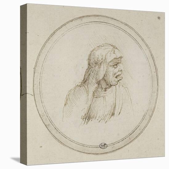 Vieille femme coiffée d'un voile-Leonardo da Vinci-Stretched Canvas