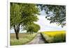 Vielbrunn, Hesse, Germany, Country Road Between Cherry Trees and Rape Fields-Bernd Wittelsbach-Framed Photographic Print