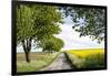 Vielbrunn, Hesse, Germany, Country Road Between Cherry Trees and Rape Fields-Bernd Wittelsbach-Framed Photographic Print