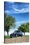 Vielbrunn, Hesse, Germany, Mercedes 170 Ds, Type W191, Year of Manufacture 1953-Bernd Wittelsbach-Stretched Canvas