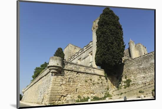 Viellevieille Castle, Dating from the 11th Century, with a Renaissance Facade-Stuart Forster-Mounted Photographic Print