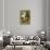 Vienna Burgtheatre (Court Theatre)-Gustav Klimt-Giclee Print displayed on a wall