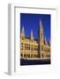 Vienna City Hall, Vienna, Austria, Europe-Neil Farrin-Framed Photographic Print