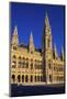 Vienna City Hall, Vienna, Austria, Europe-Neil Farrin-Mounted Photographic Print